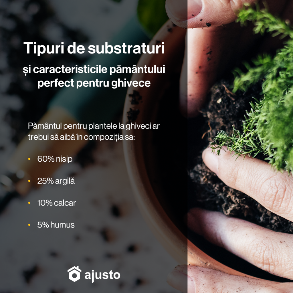 Tipuri de substraturi și caracteristicile pământului perfect pentru ghivece