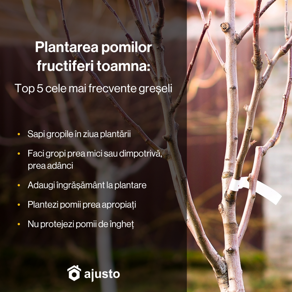plantarea pomilor fructiferi toamna