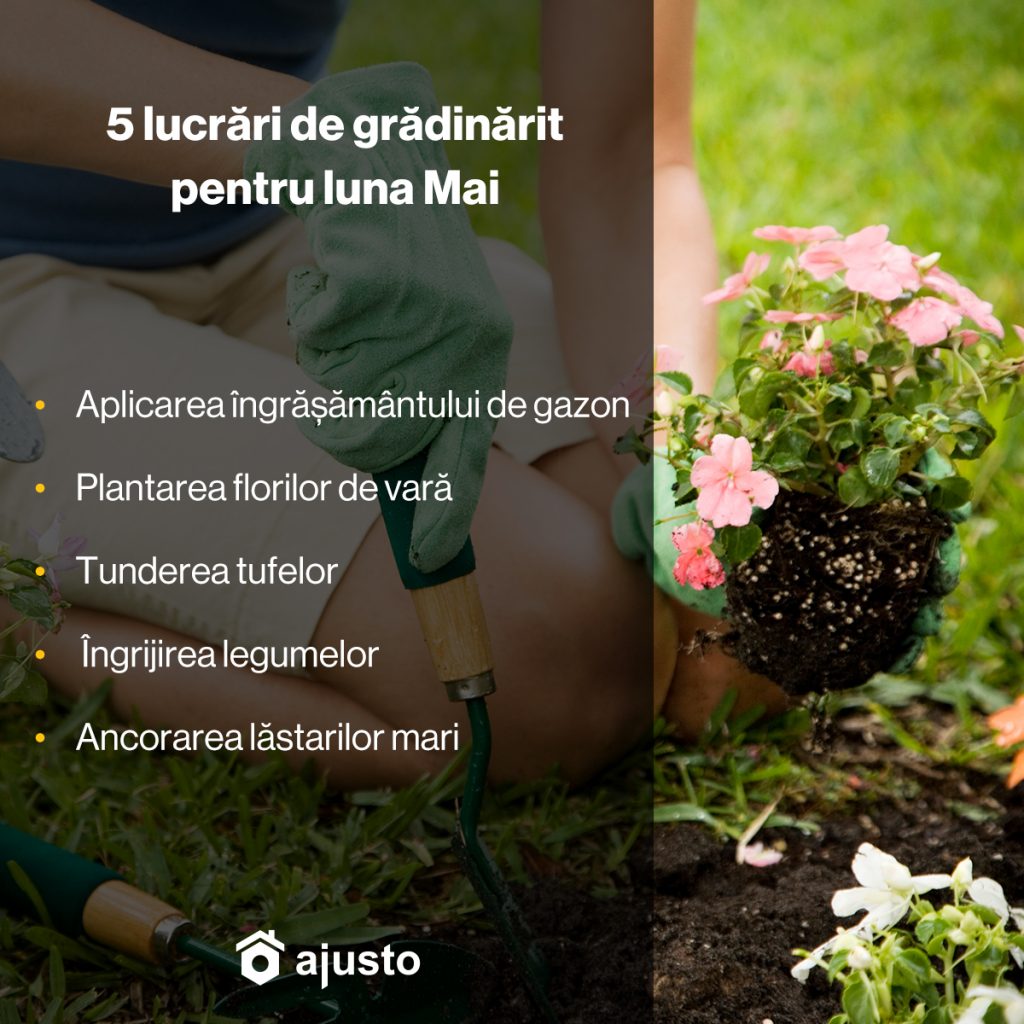 lucrari de gradinarit luna mai