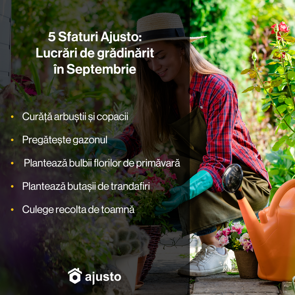 lucrari de gradinarit in septembrie