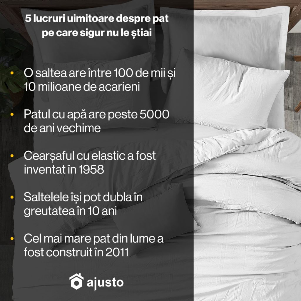 lucruri interesante despre pat