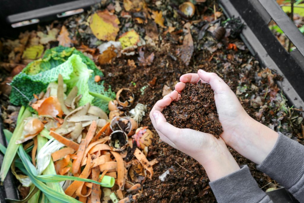 Cum faci compost și de ce este important pentru protejarea mediului